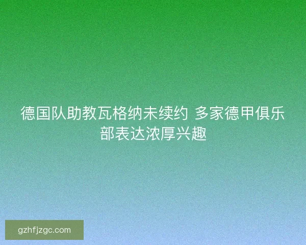 德国队助教瓦格纳未续约 多家德甲俱乐部表达浓厚兴趣